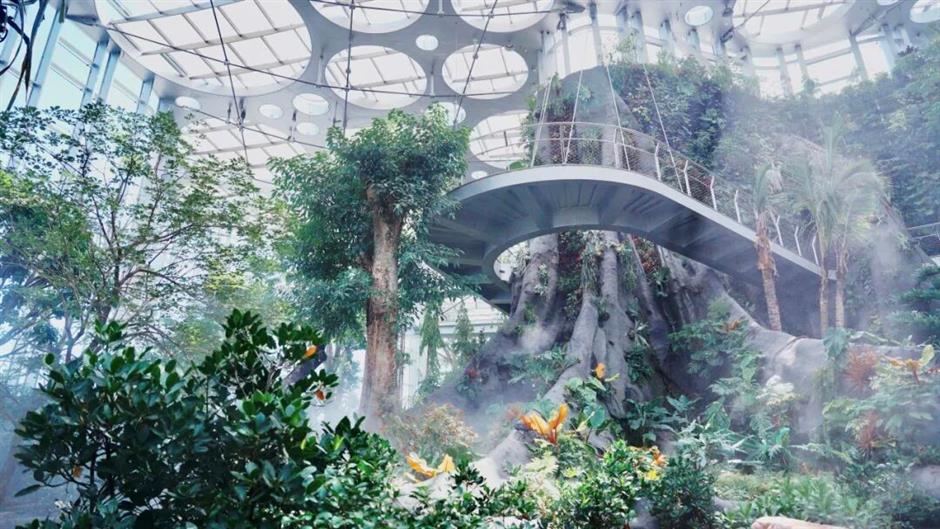 心动!高甜!收好这份上海浪漫攻略→