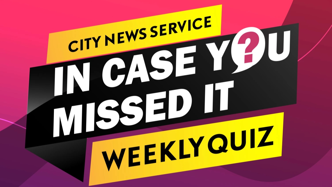 Bring Home Your Own CNS Double-Decker Bus