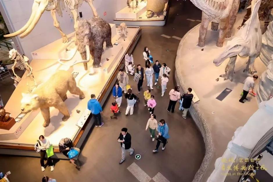 心动!高甜!收好这份上海浪漫攻略→