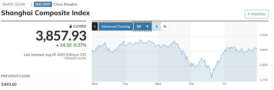 China stock market rally fueled by Johnny-come-lately individual investors