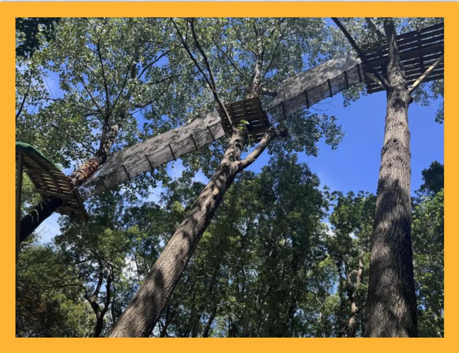 80亩丛林探险乐园,9大线路挑战极限,冲就对了!