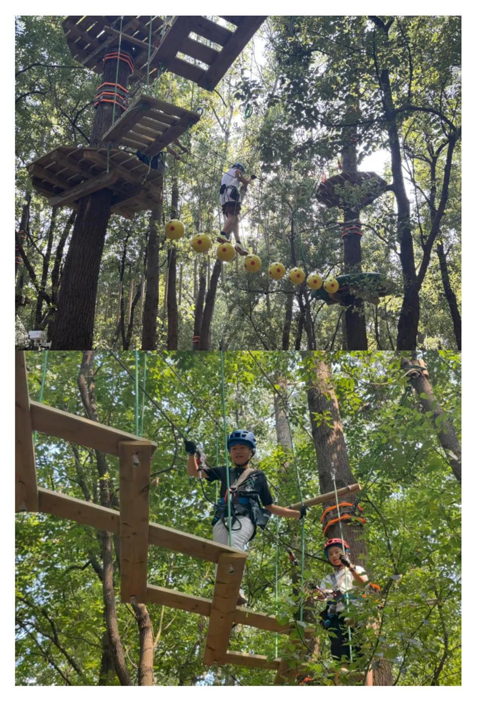 80亩丛林探险乐园,9大线路挑战极限,冲就对了!