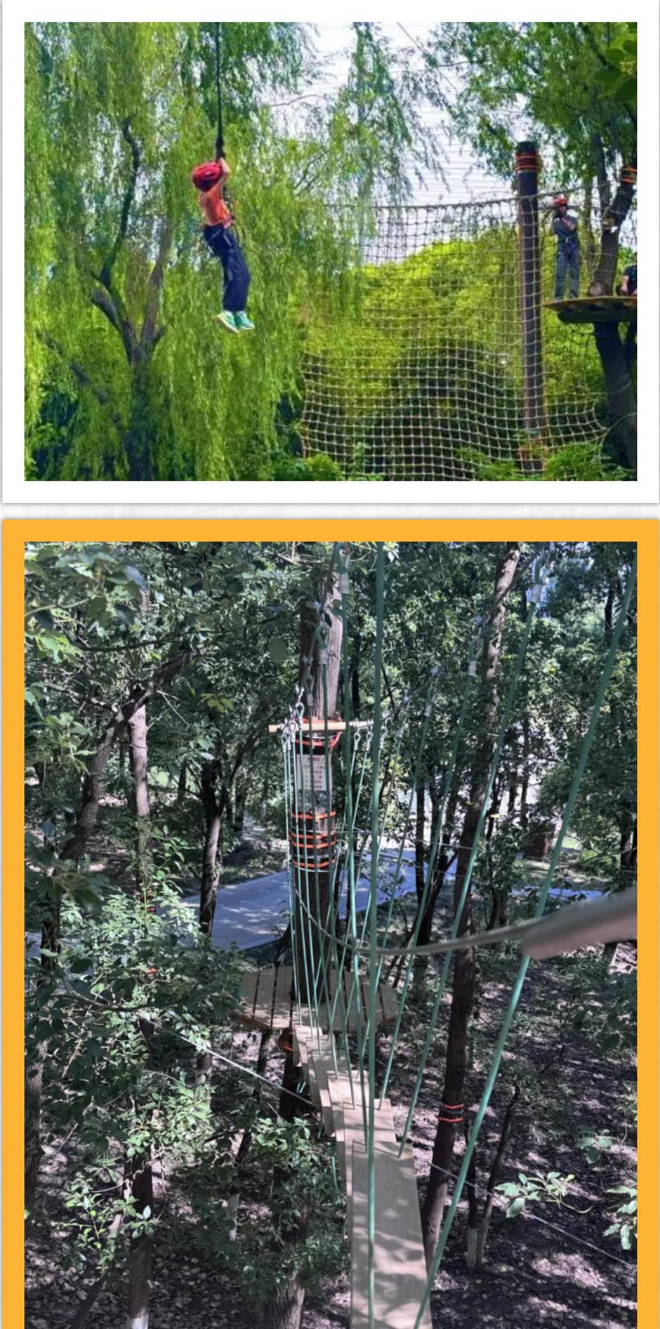 80亩丛林探险乐园,9大线路挑战极限,冲就对了!