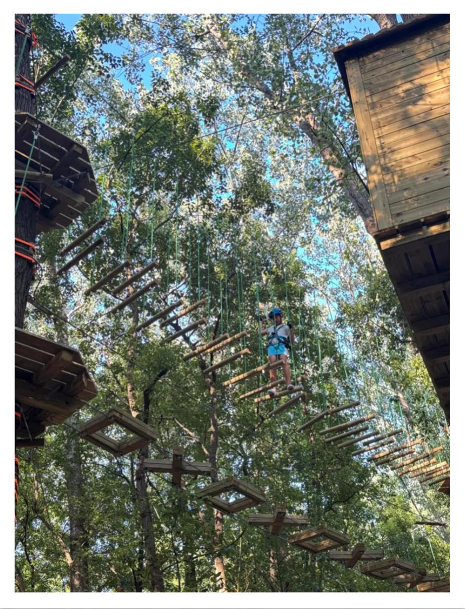 80亩丛林探险乐园,9大线路挑战极限,冲就对了!