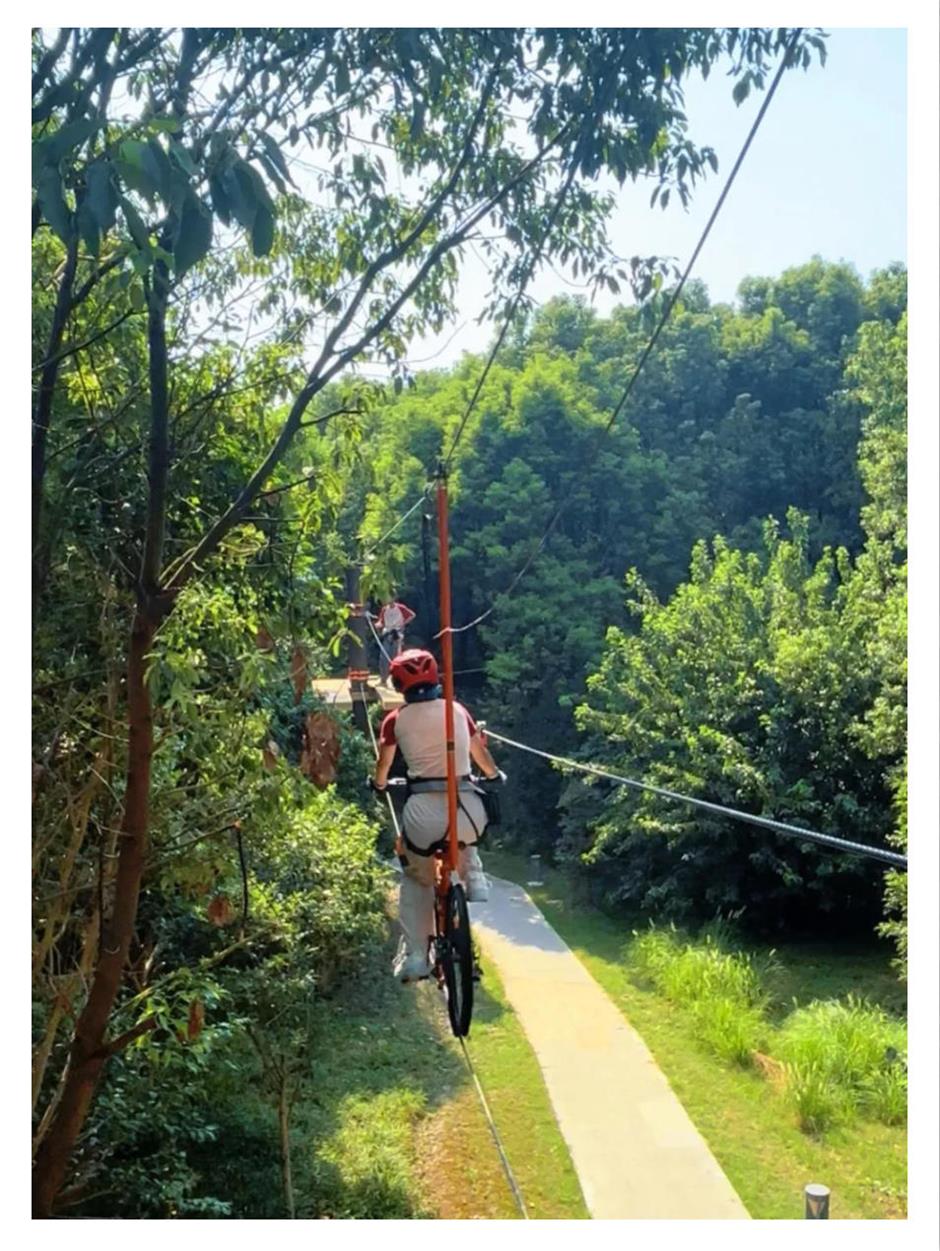 80亩丛林探险乐园,9大线路挑战极限,冲就对了!