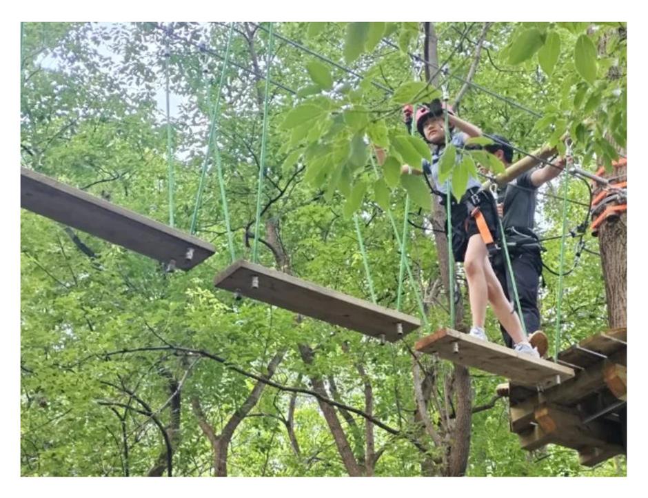 80亩丛林探险乐园,9大线路挑战极限,冲就对了!