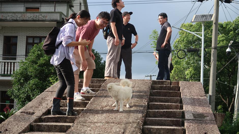 Shanghai restores ancient bridges to revive rural heritage