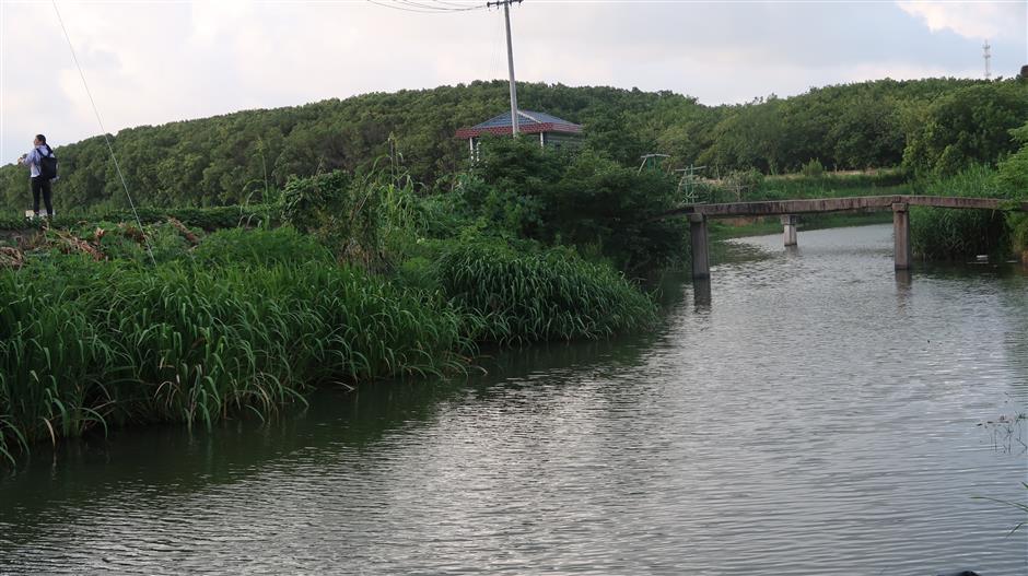 Shanghai restores ancient bridges to revive rural heritage