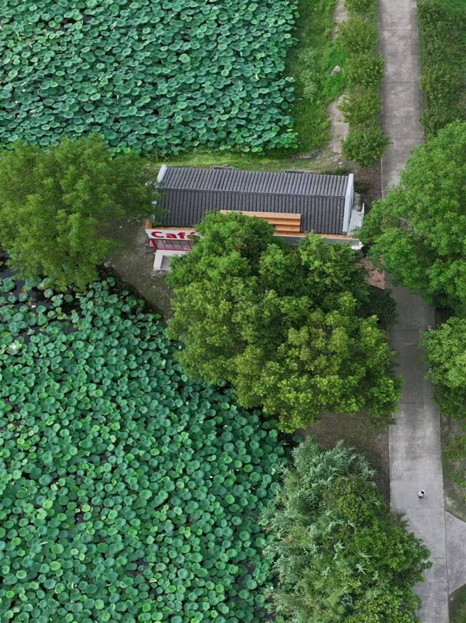 在上海!这是咖啡馆?一眼九寨沟!