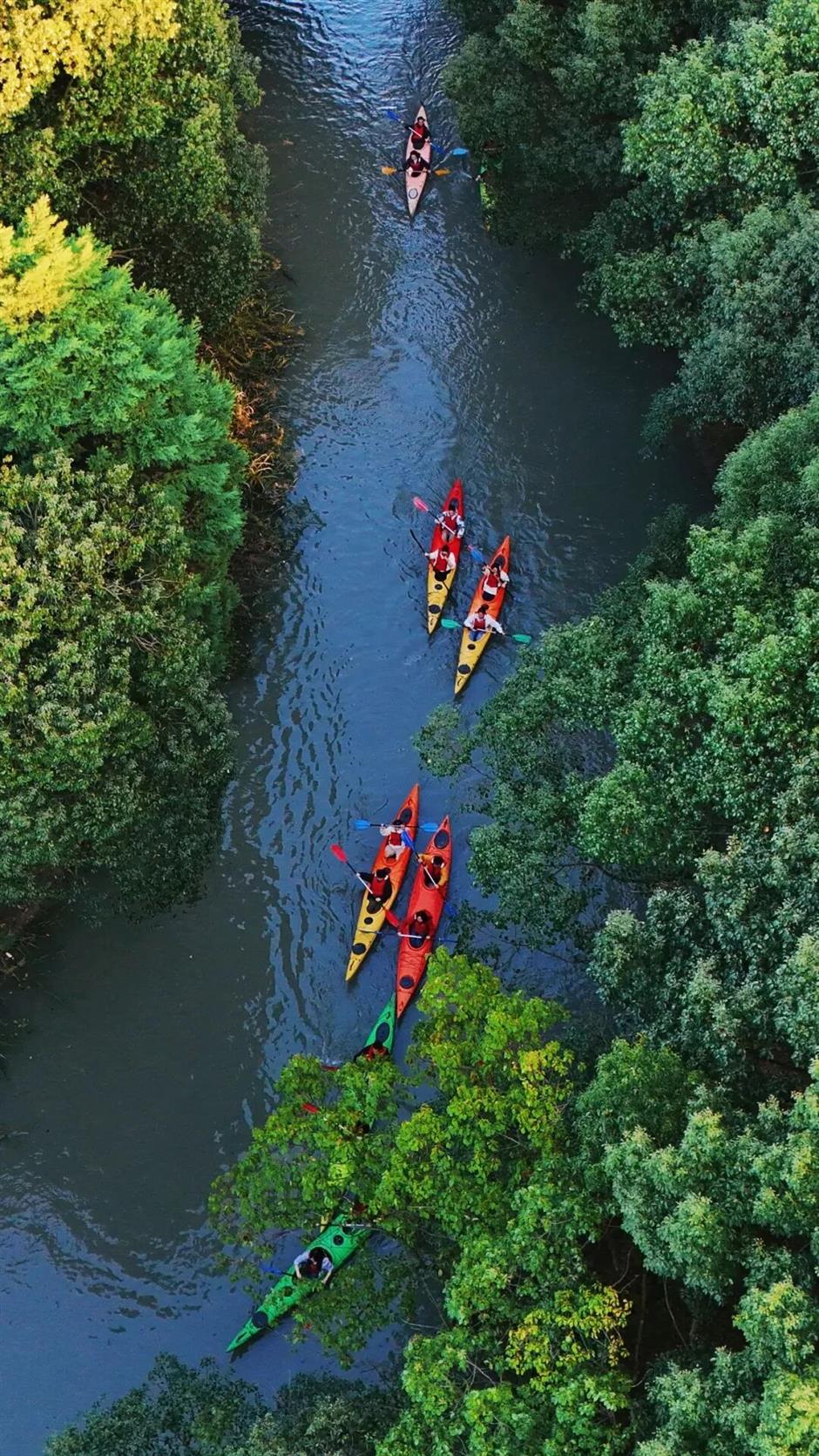 魔都治癒系村落,泛波,等風,看無邊的稻浪→