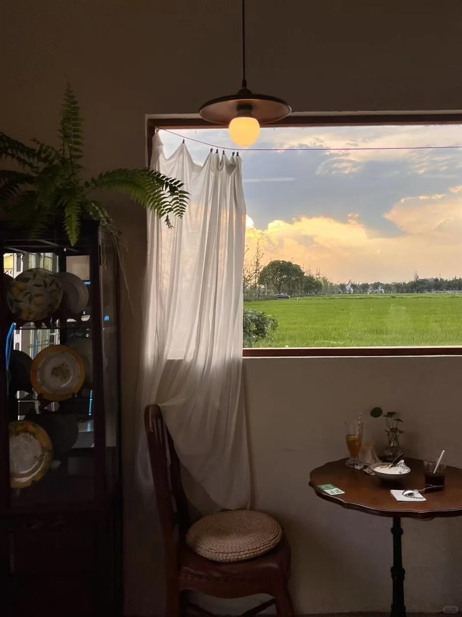 魔都治癒系村落,泛波,等風,看無邊的稻浪→