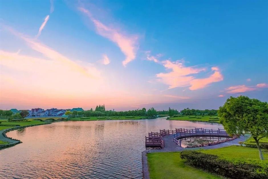 魔都治癒系村落,泛波,等風,看無邊的稻浪→