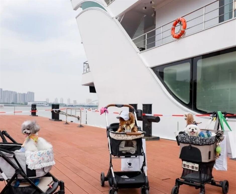 9月5日起,正式开通运营!