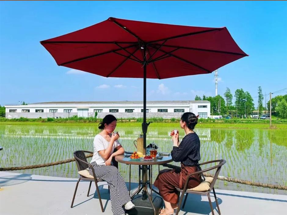 青浦这些特色咖啡馆,藏着独属于一人的惬意时光