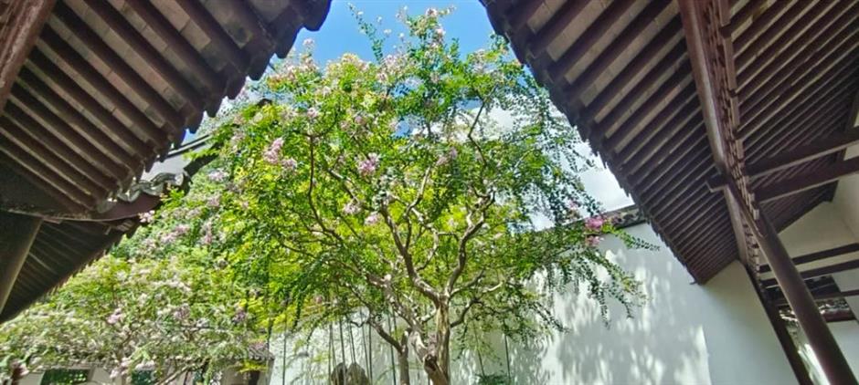 上海一波景区官宣:凭此证可免票、优惠游