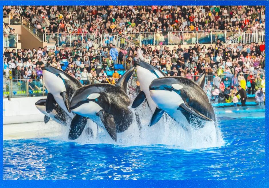 上海一波景区官宣:凭此证可免票、优惠游