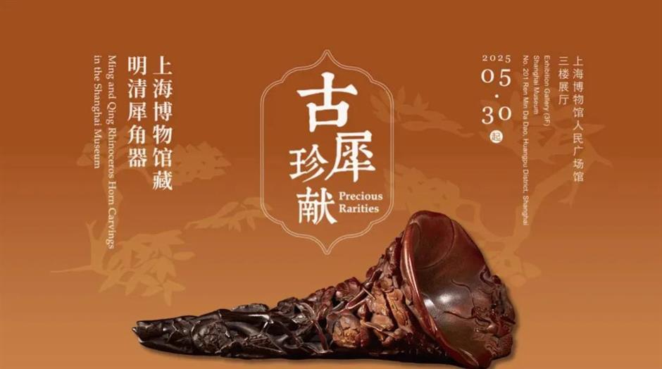 平價遊黃浦攻略來啦!免費展覽、百年公交、平價老字號……文藝又省錢~