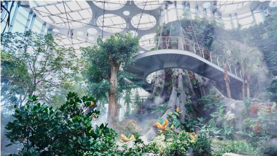 上海一波景区官宣:凭此证可免票、优惠游