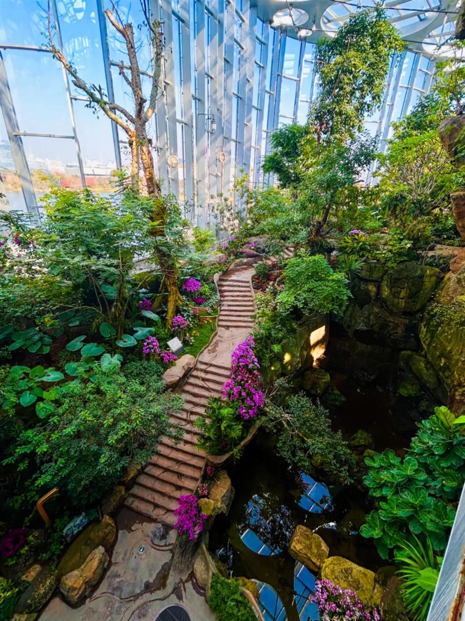 上海一波景区官宣:凭此证可免票、优惠游