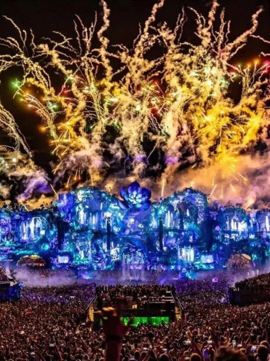 大家都爱的音乐节,来了