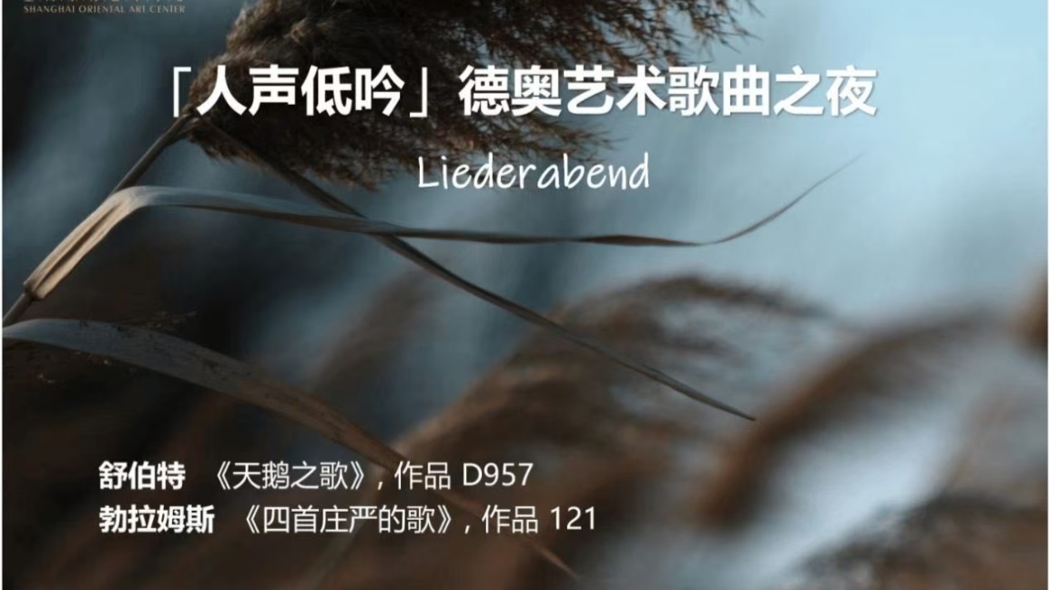 Liederabend, an intimate and moving musical experience