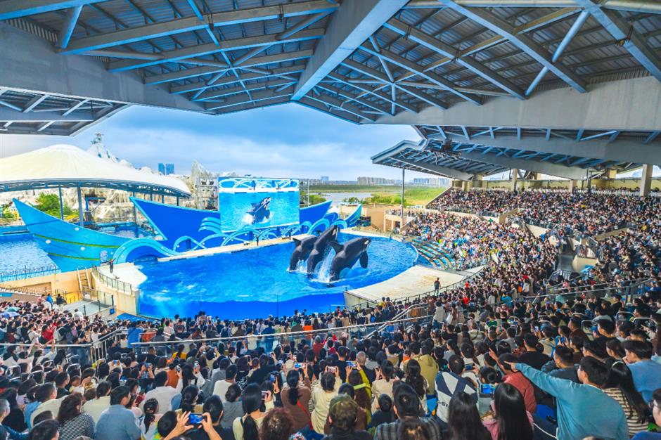 焕新!上海景区一波 