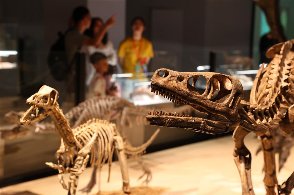 One Week Only! 63 Top Shanghai Attractions Slash Prices for Tourism Festival