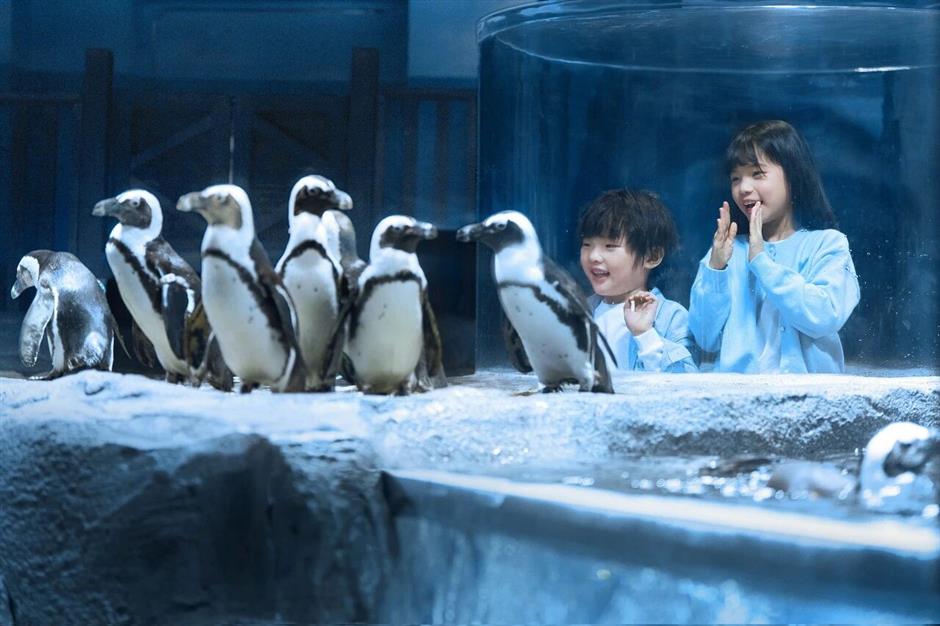 One Week Only! 63 Top Shanghai Attractions Slash Prices for Tourism Festival