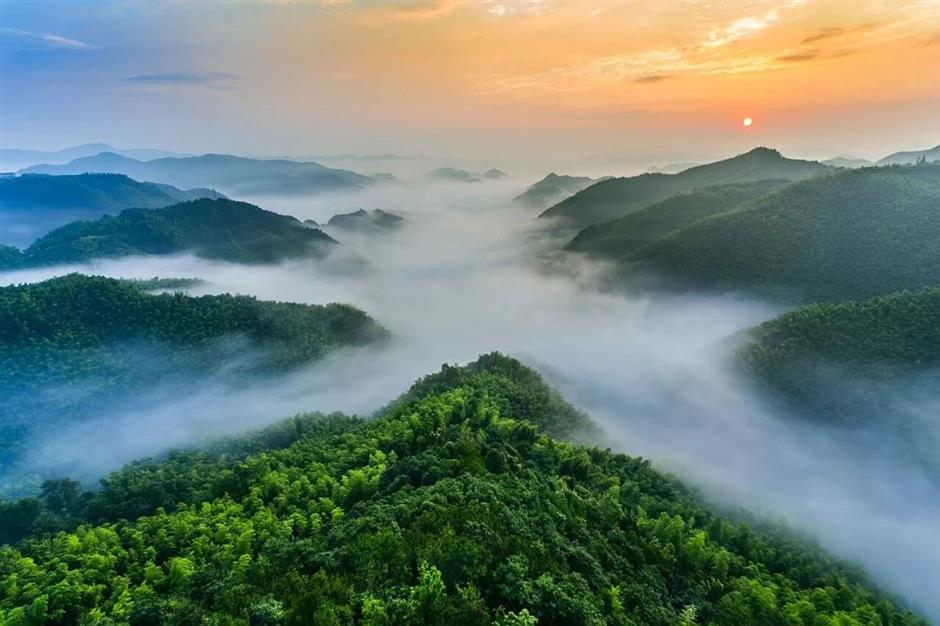 2025年第36届上海旅游节五大分会场活动公布