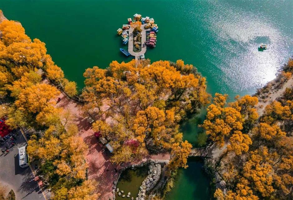 2025年第36届上海旅游节五大分会场活动公布