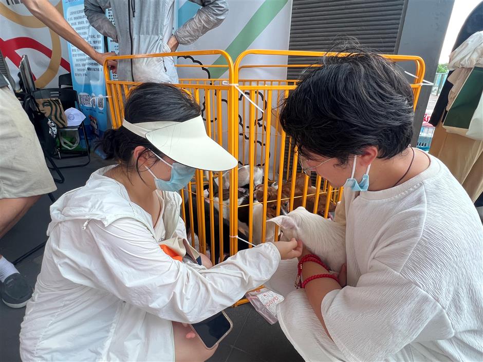 Special meeting discusses ways to promote pet-friendly neighborhoods