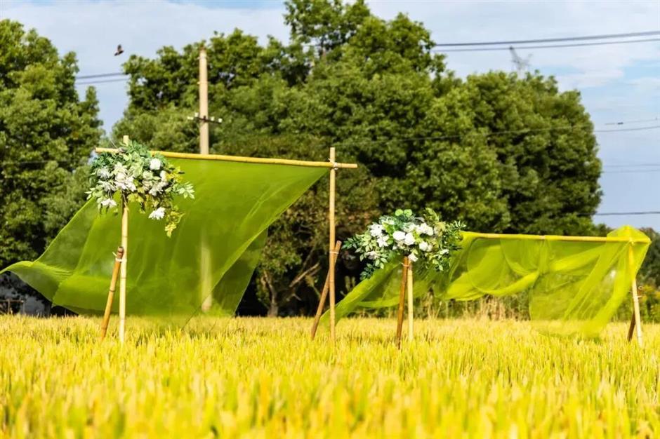 As autumn nears, festivals boost rural tourism