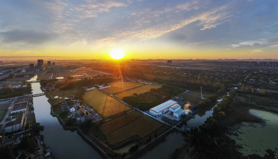 Fashion center injects modern vitality to traditional <i>qipao</i>