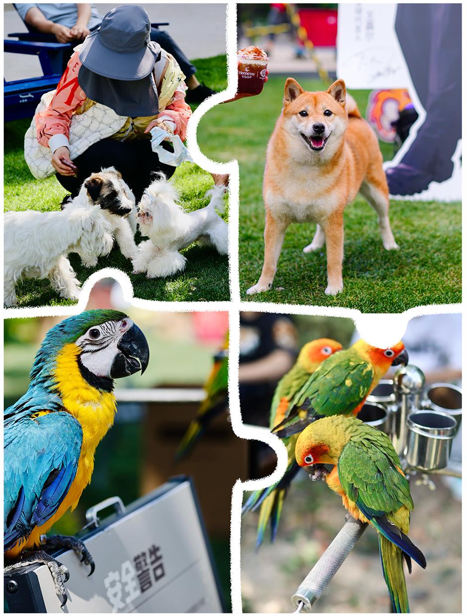 又上新啦!上海市集,來不及逛!