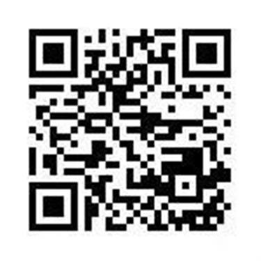 本周末,来泗泾看龙舟竞渡!观赛预约来了