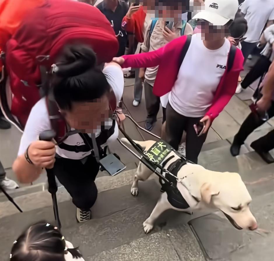 Guide dog recalled after blind couple's Mount Tai climb sparks backlash