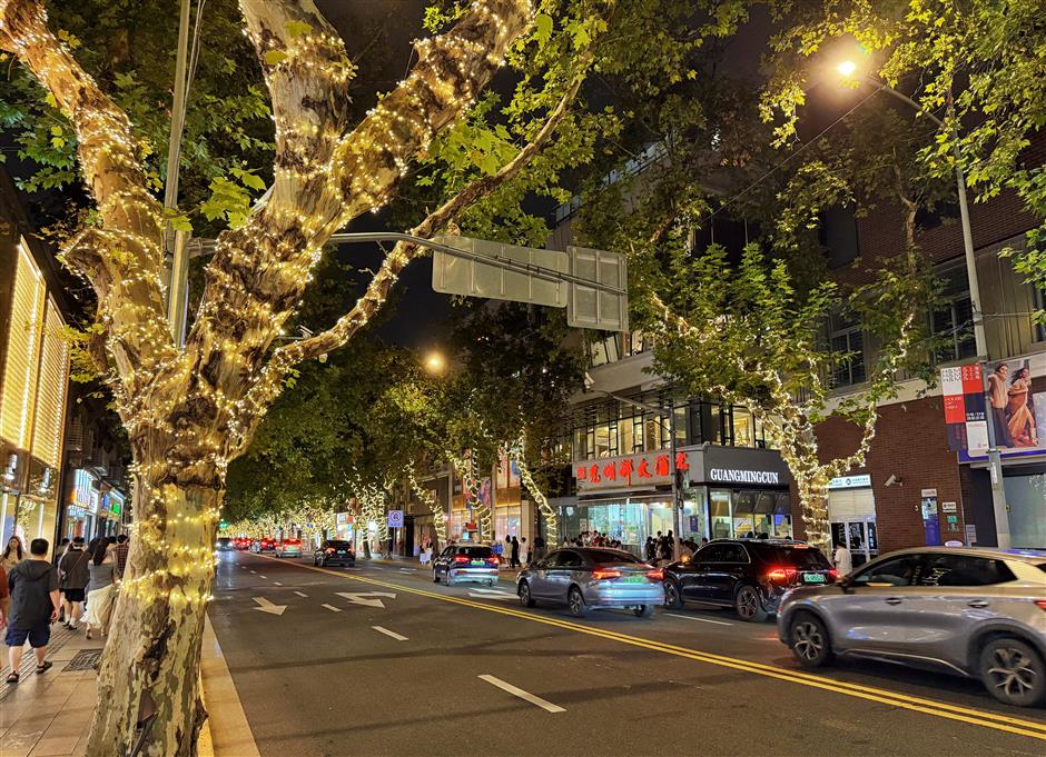 Bund to transform into luminous canvas for light festival