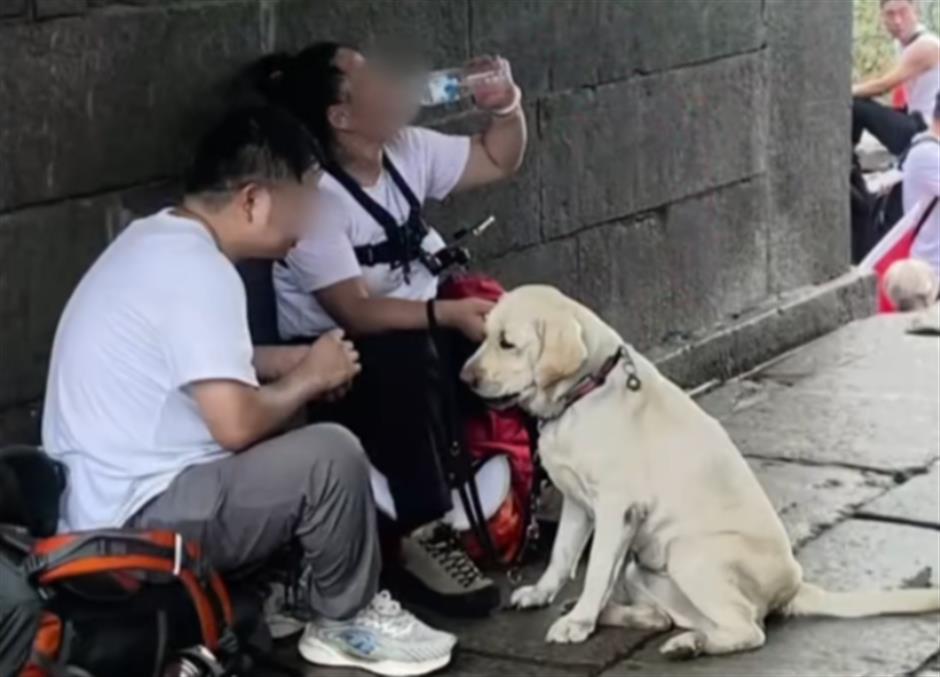 Guide dog recalled after blind couple's Mount Tai climb sparks backlash