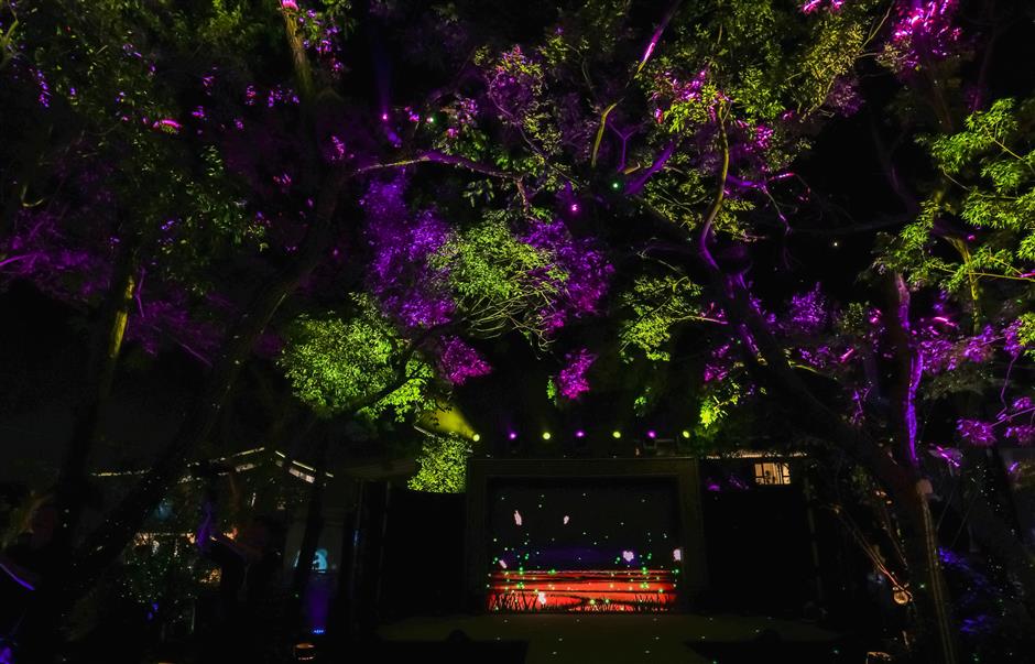 Qingpu landmarks glow in festival's light show