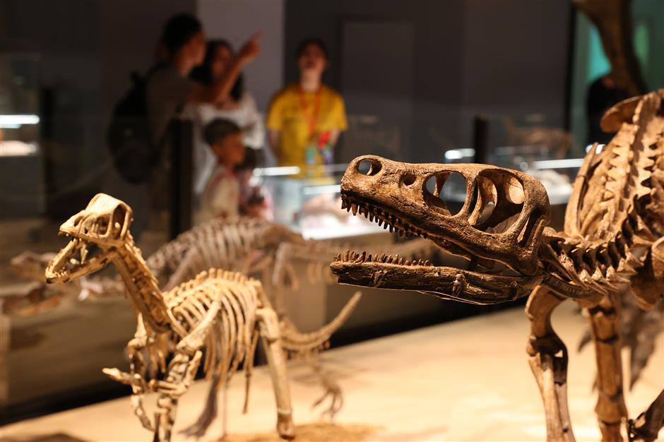 Natural history and astronomy museums extend hours for holidays
