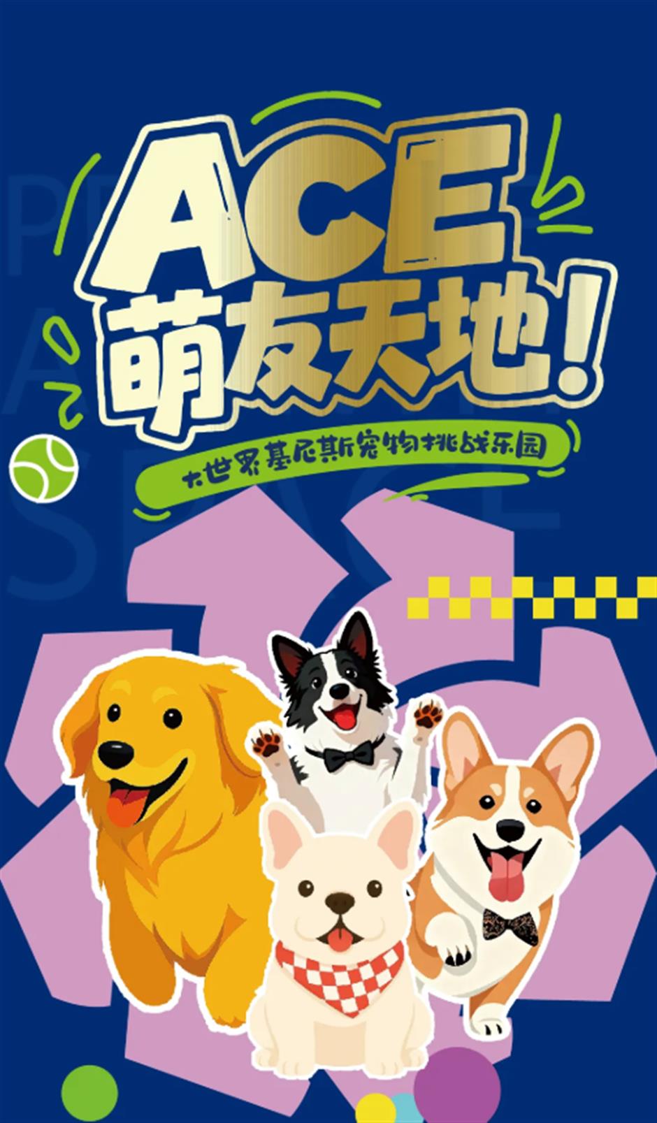 Big Guide to Rolex Shanghai Masters 2025