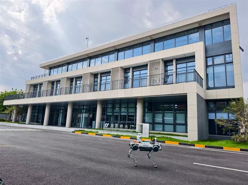 Shanghai, the City of 'Boundless Opportunities,' Hosts an A-List of Global Business Leaders