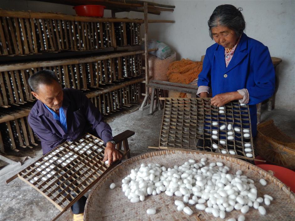 Threads of Time: the Living Heritage of Chinese Silk and Sericulture
