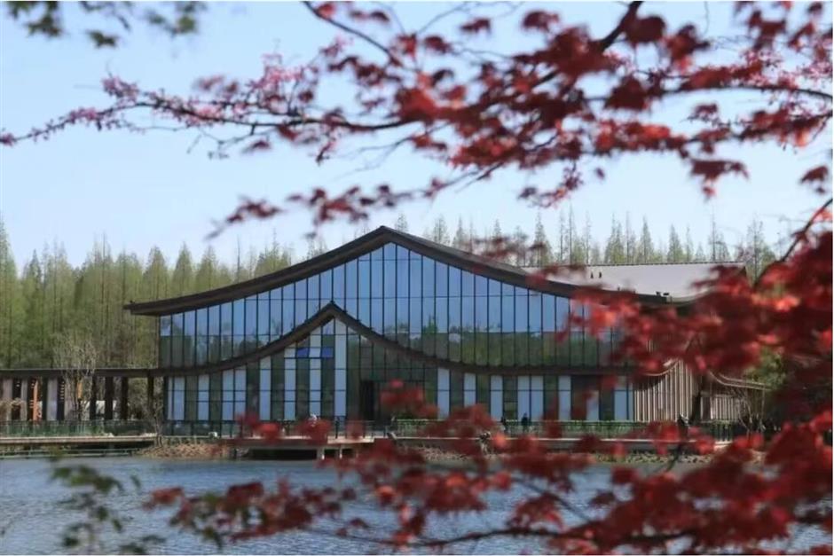 国庆去哪玩?崇明打卡攻略速戳