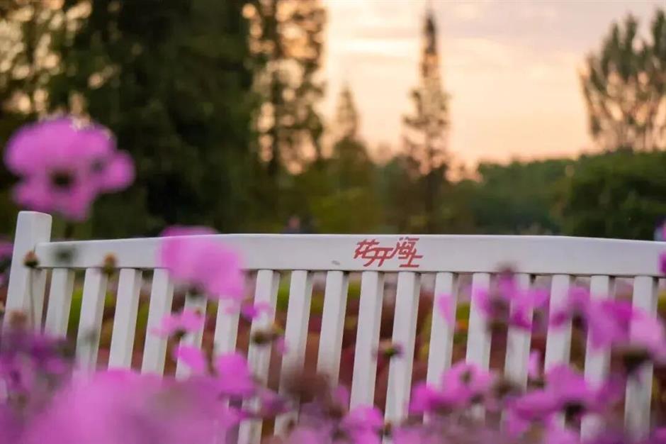 双节放飞沪郊!这些限定精彩别错过