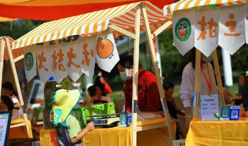 国庆去哪玩?崇明打卡攻略速戳