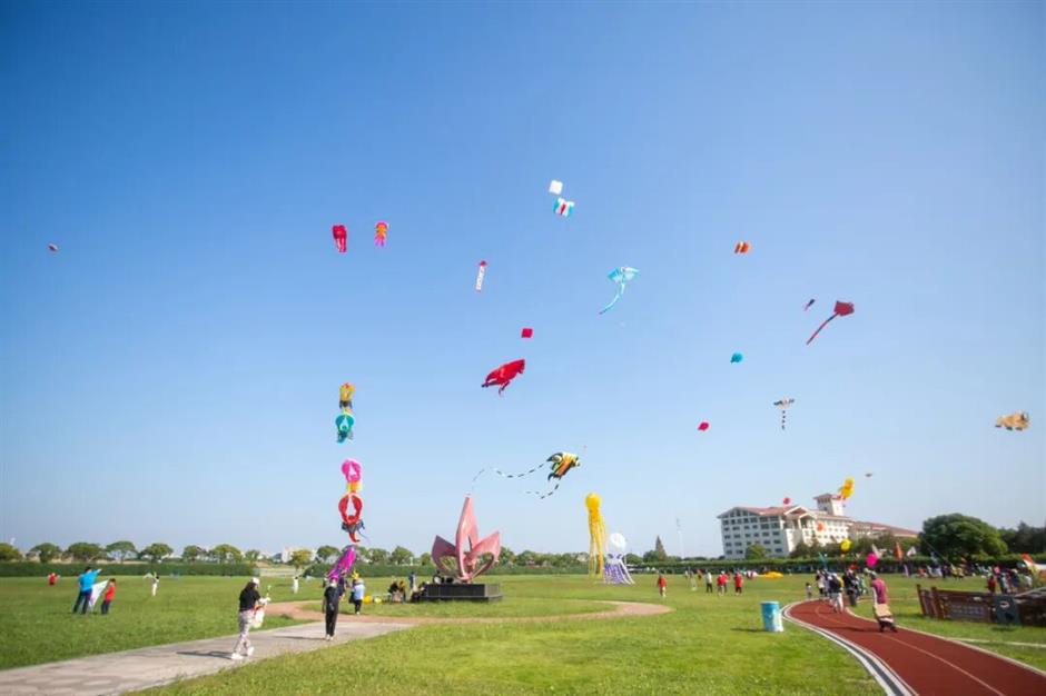 双节放飞沪郊!这些限定精彩别错过