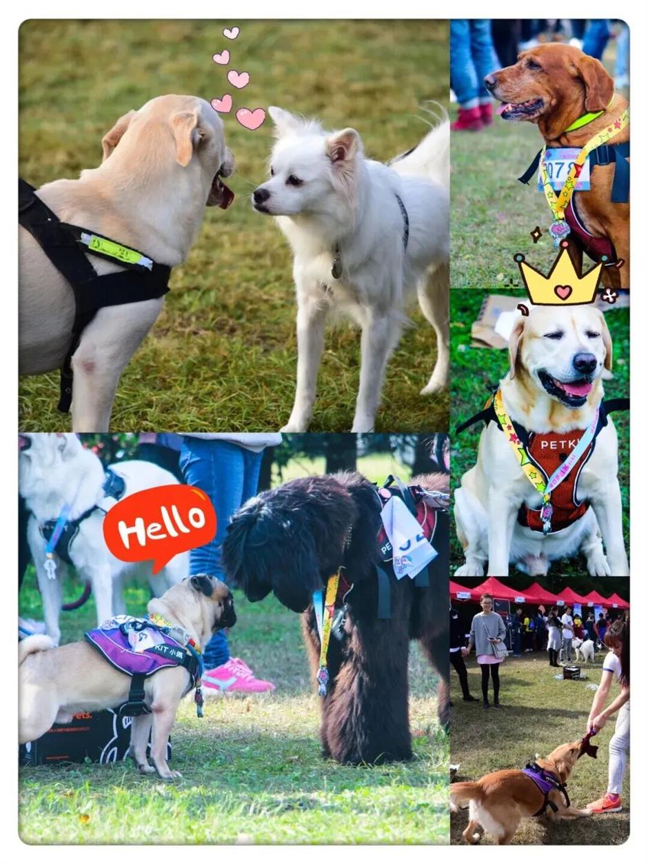 双节放飞沪郊!这些限定精彩别错过