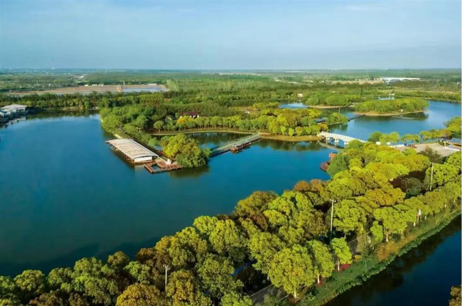 国庆去哪玩?崇明打卡攻略速戳