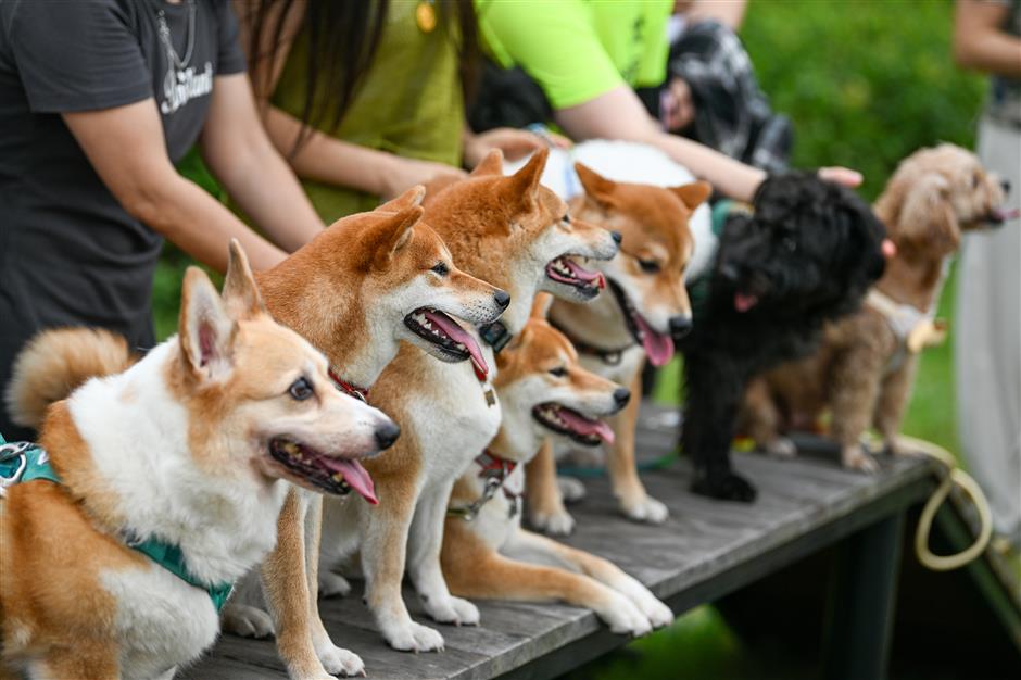 Self-indulgence Fuels New Trend in Spending